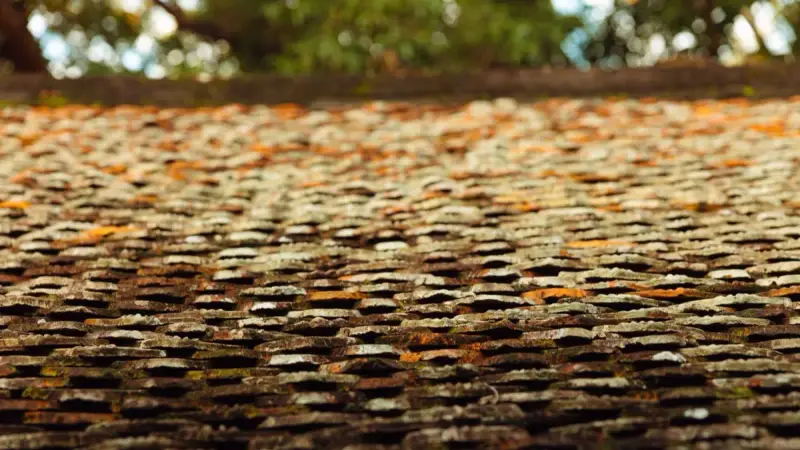 roofing in Summerville, SC